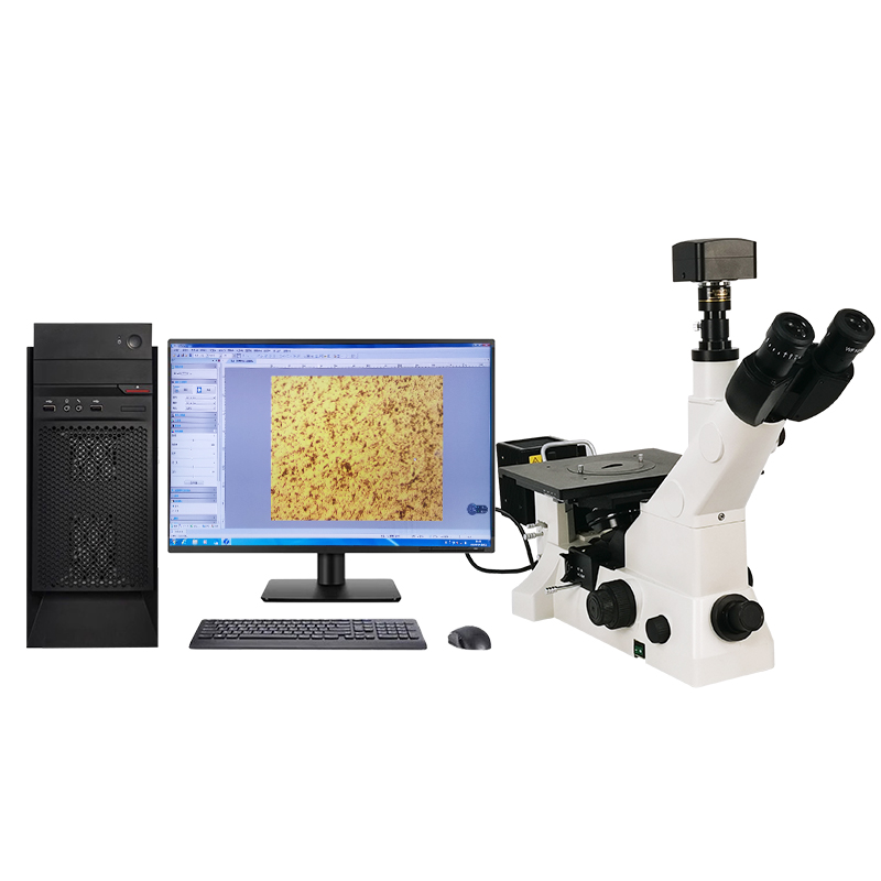 MS900/MS600/MM600 Inverted Metallographic Microscope
